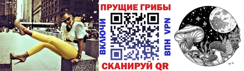 закладка  Карпинск  Псилоцибиновые грибы Cubensis 